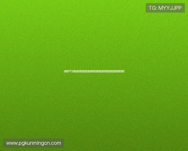 如何在PG电子亡灵大盗中快速提升等级与获取稀有装备,实用攻略助你成为游戏高手